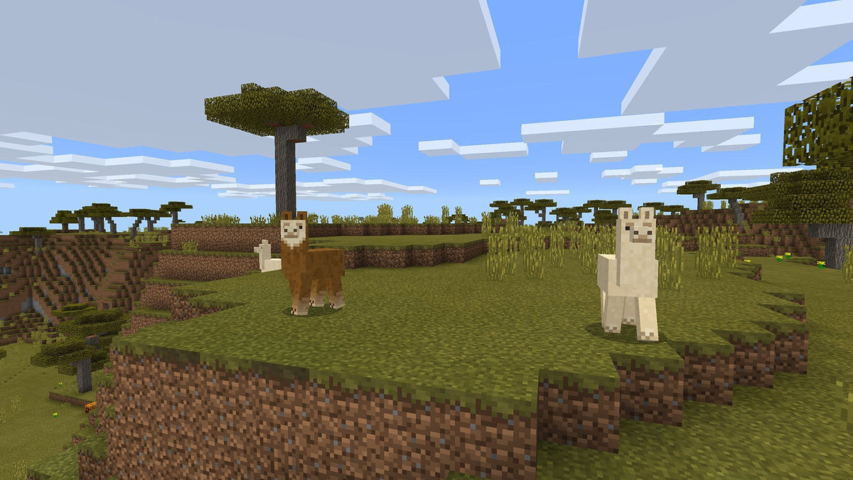 Minecraft (CAN Version) - Physical Edition 🍁 All In One Marketplace Canada