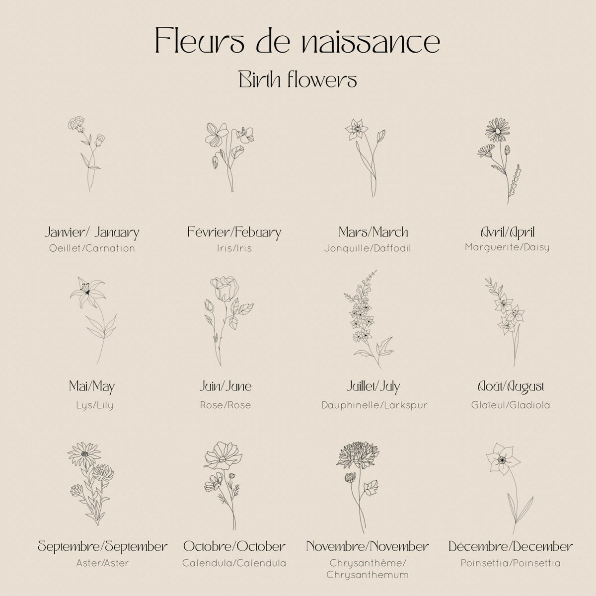 Les Fleurs - Novembre