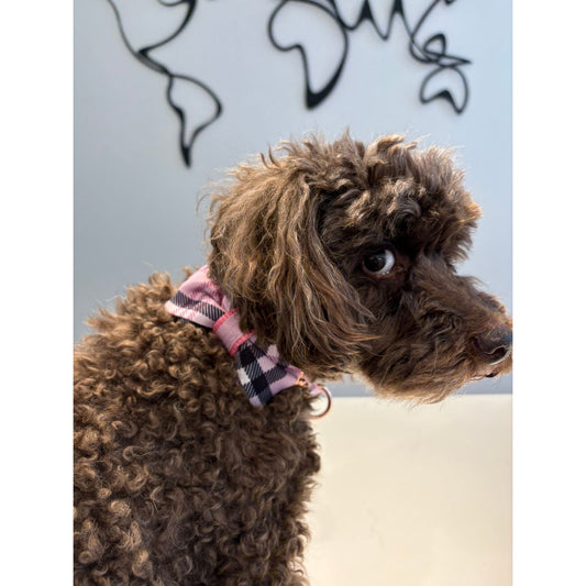 Blossom collar