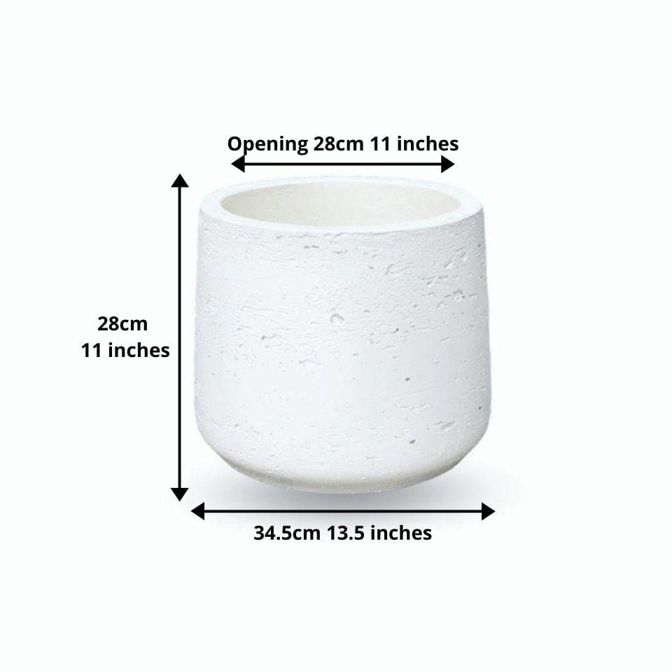 Lazaro White Zement Pflanzgefäß 13''