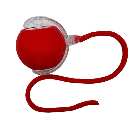 Pet Vibrating Bouncing Ball Toy with Tail