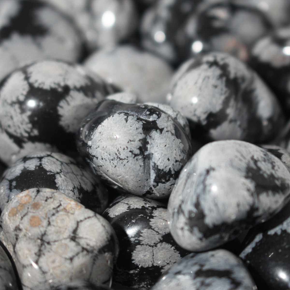 Obsidian Snowflake Tumbled Stones