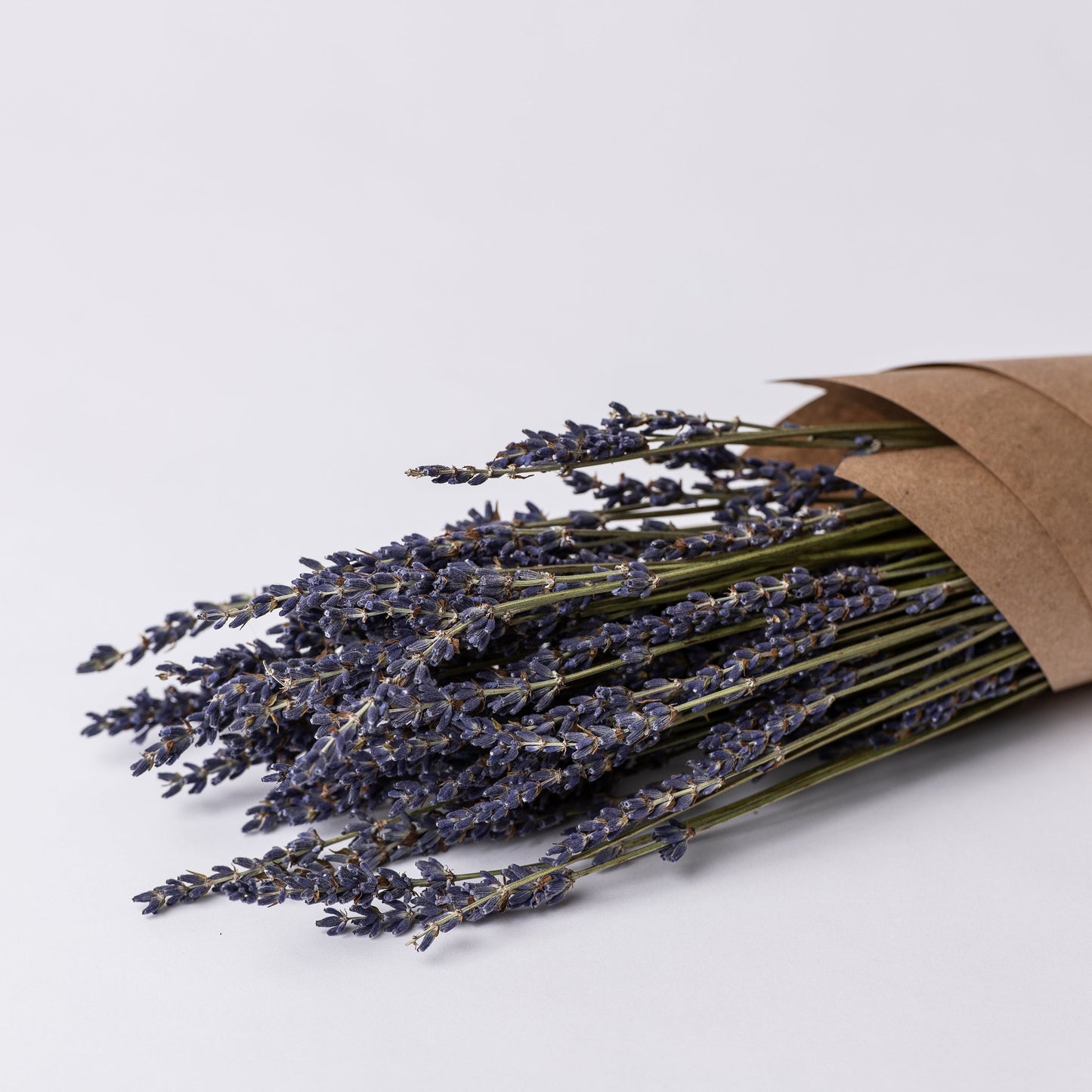 Lavendel