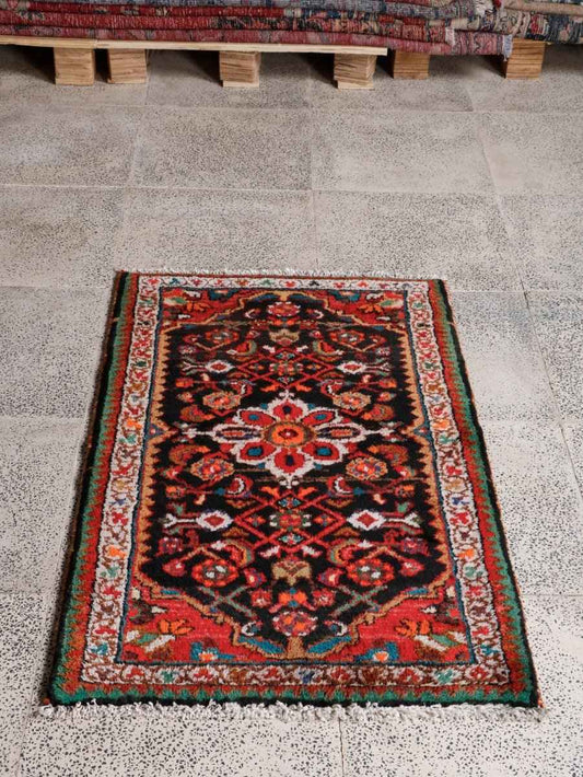 Persian Hamedan Rug | 2' 2” x 3' 5"