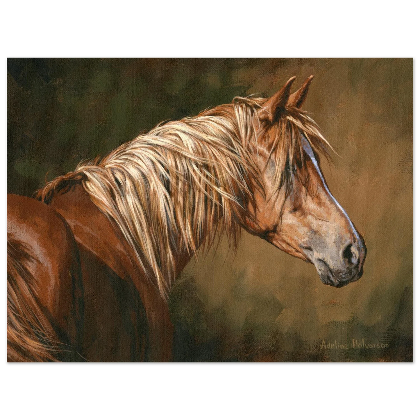 Windy Fine Art Print