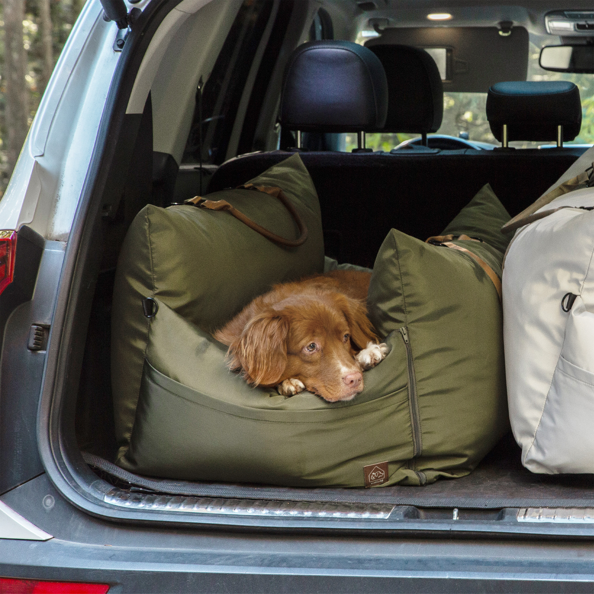 marco travel pet bed