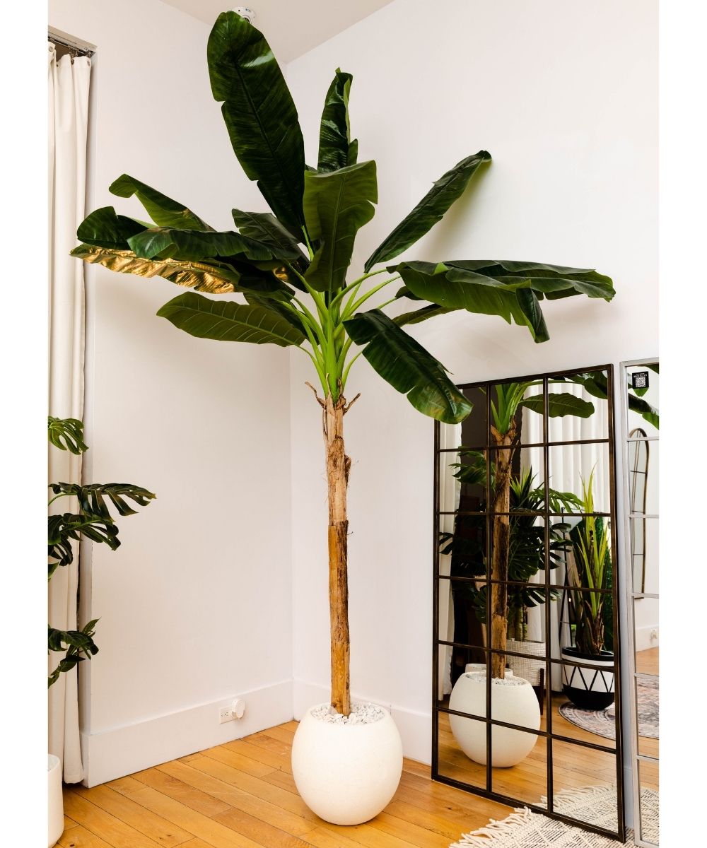 Leya Künstliche Bananenstaude Topfpflanze 305 cm