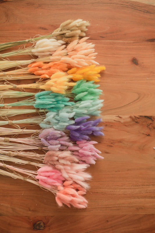 Bunny Tails