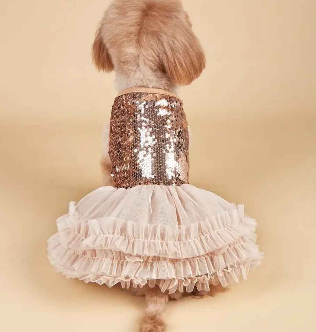 Eloise Dog Dress | Designer Pet Dress