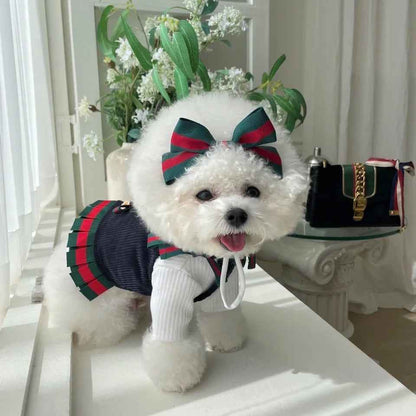 Gigi Dress Set with Bow – Dog Dress Set
