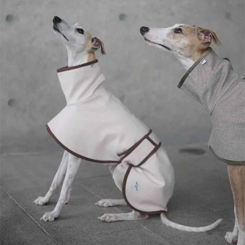 London Town Classic Dog Coat | Structured Dog Outerwear