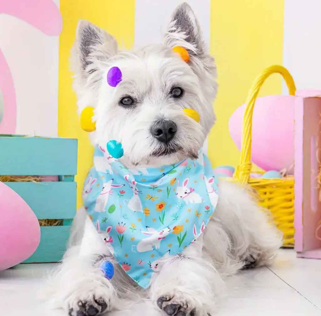 Easter Bunny Bandana – Festive Luxury Dog Bandana