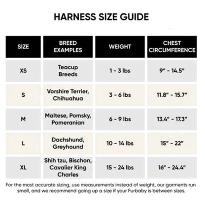 Gigi Everyday Dog Harness and Leash Set | Coordinated Walking Essentials