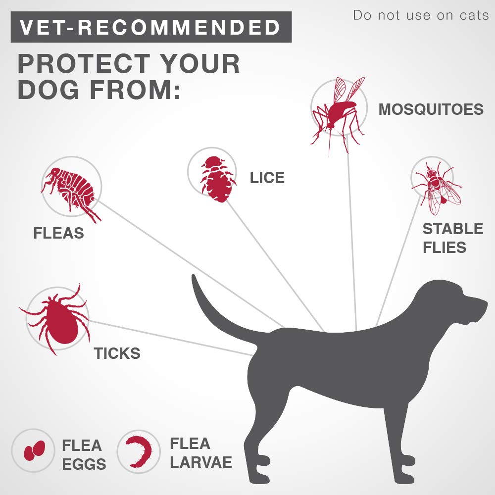 K9 Advantix II Flea and Tick Treatment for Extra Large Dogs weighing over 25 kg (over 55 lbs.)-6 doses 🍁 All In One Marketplace Canada