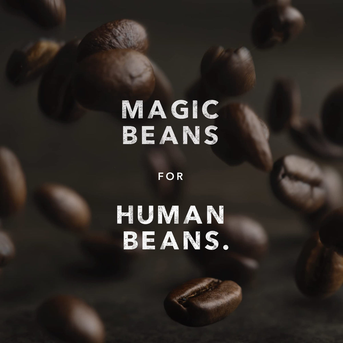 Kicking Horse Coffee, Cliff Hanger Espresso, Medium Roast, Whole Bean, 1 lb - Certified Organic, Fairtrade, Kosher Coffee 🍁 All In One Marketplace Canada