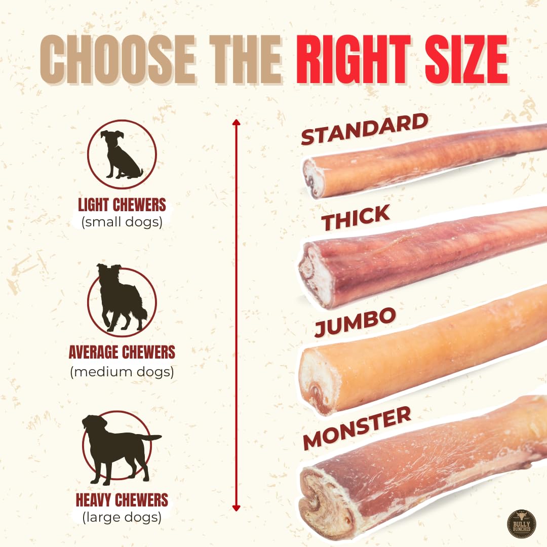 Bully Bunches Premium (6" Standard - 5 Pack) Odour-Free, Consistently Sized Bully Sticks for Small & Medium Dogs & Puppies, Long-Lasting Oral Care Chews, All-Natural Single-Ingredient Beef, No Rawhide 🍁 All In One Marketplace Canada