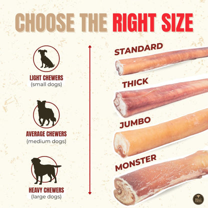 Bully Bunches Premium (6" Standard - 10 Pack) Odour-Free Bully Sticks - Small Dogs & Puppies - Consistently Sized, Long Lasting Chew Bones - All Natural & Single Ingredient, Beef Dog Treat, No Rawhide 🍁 All In One Marketplace Canada
