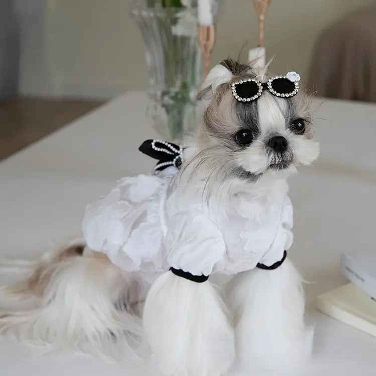 Chewnel Dress for Dogs – Elegant Dog Dress Outfit