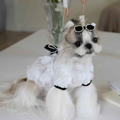 Chewnel Dress for Dogs – Elegant Dog Dress Outfit