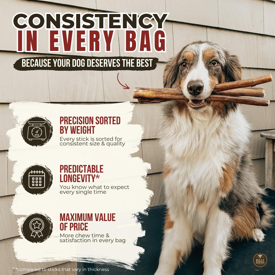 Bully Bunches Premium (6" Standard - 10 Pack) Odour-Free Bully Sticks - Small Dogs & Puppies - Consistently Sized, Long Lasting Chew Bones - All Natural & Single Ingredient, Beef Dog Treat, No Rawhide 🍁 All In One Marketplace Canada