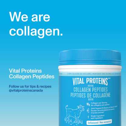 VITAL PROTEINS Bovine Collagen Peptides Powder, Helps Form Collagen And Reduce Joint Pain Associated With Osteoarthritis, Source Of Amino Acids, No Added Sugar, No Artificial Colours Or Flavours, 567 g 🍁 All In One Marketplace Canada