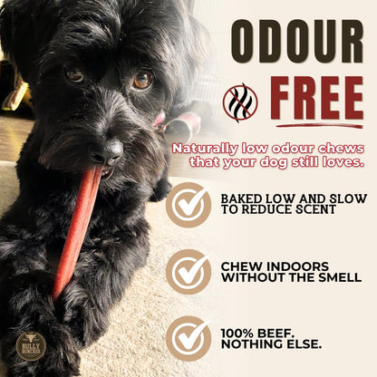 Bully Bunches Premium (6" Standard - 5 Pack) Odour-Free, Consistently Sized Bully Sticks for Small & Medium Dogs & Puppies, Long-Lasting Oral Care Chews, All-Natural Single-Ingredient Beef, No Rawhide 🍁 All In One Marketplace Canada