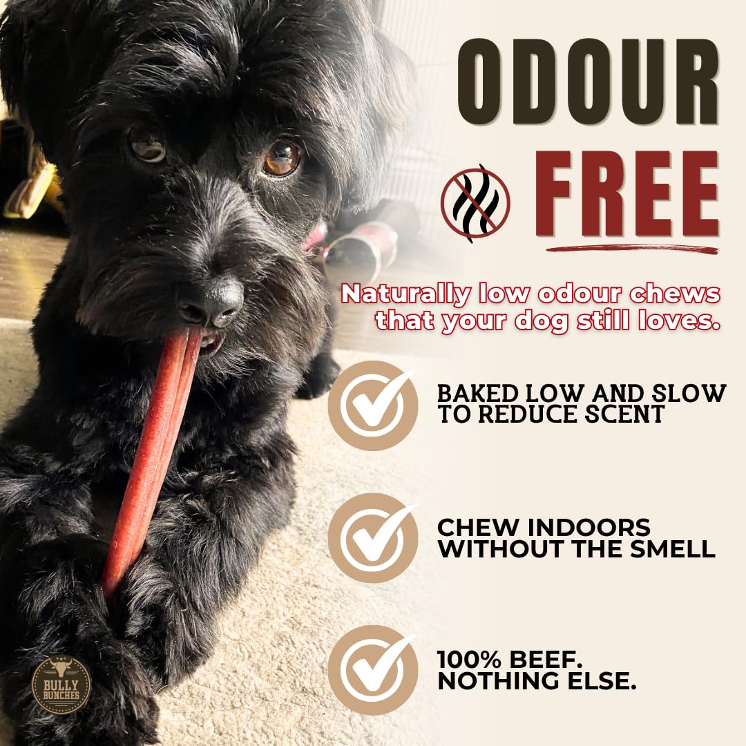 Bully Bunches Premium (6" Standard - 10 Pack) Odour-Free Bully Sticks - Small Dogs & Puppies - Consistently Sized, Long Lasting Chew Bones - All Natural & Single Ingredient, Beef Dog Treat, No Rawhide 🍁 All In One Marketplace Canada