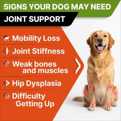 Glucosamine for Dogs w/Chondroitin - Hip & Joint Supplement for Dogs - MSM, Omega to Improve Mobility & Energy - Natural Joint Pain Relief - 120 Chews (Chicken) 🍁 All In One Marketplace Canada