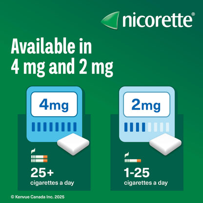 Nicorette Gum Smoking Cessation Product, Nicotine Replacement Therapy Aid for Adults, Doubles Quit Success, Spearmint Flavour, 2mg, 210 Pieces 🍁 All In One Marketplace Canada
