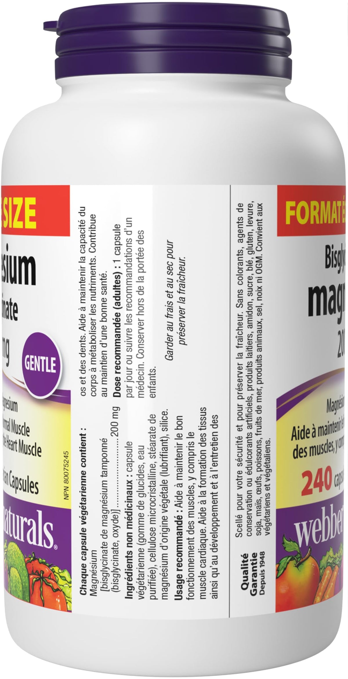 Webber Naturals Magnesium Bisglycinate 200 mg, 240 Capsules, Supports Bone and Muscle Functions, Vegan 🍁 All In One Marketplace Canada