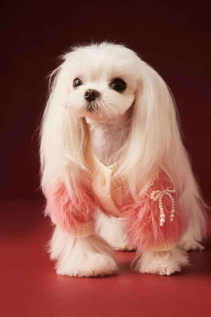 Gia Dog Sweater | Dog Sweater for Cold Weather