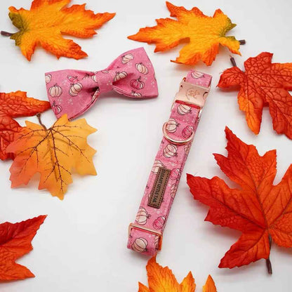 Pumpkin Dog Collar | Dog Halloween Collar