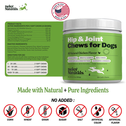 Deley Naturals Hip and Joint Supplement for Dogs - Glucosamine Chondroitin MSM & Collagen for Dogs - Dog Joint Supplement, Smaller Chews, Low Calories, Same Ingredients - 120 Chicken Flavor Chews 🍁 All In One Marketplace Canada
