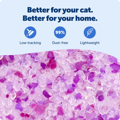 PetSafe ScoopFree Lavender Non-Clumping Crystal Cat Litter, Lightly Scented Litter – Superior Odor Control – Low Tracking for Less Mess – Lasts Up to 1 Month, 8.6 Lbs Total (2 Pack of 4.3 Lb Bags) 🍁 All In One Marketplace Canada