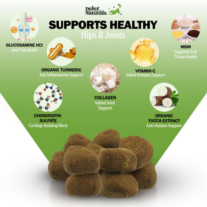 Deley Naturals Hip and Joint Supplement for Dogs - Glucosamine Chondroitin MSM & Collagen for Dogs - Dog Joint Supplement, Smaller Chews, Low Calories, Same Ingredients - 120 Chicken Flavor Chews 🍁 All In One Marketplace Canada