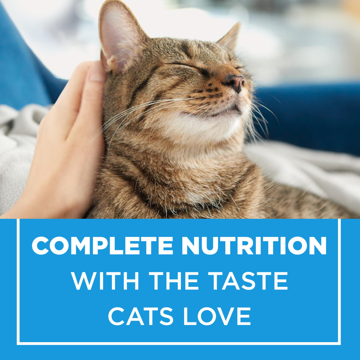 Cat Chow Complete Dry Cat Food, Real Chicken - 8 kg Bag 🍁 All In One Marketplace Canada
