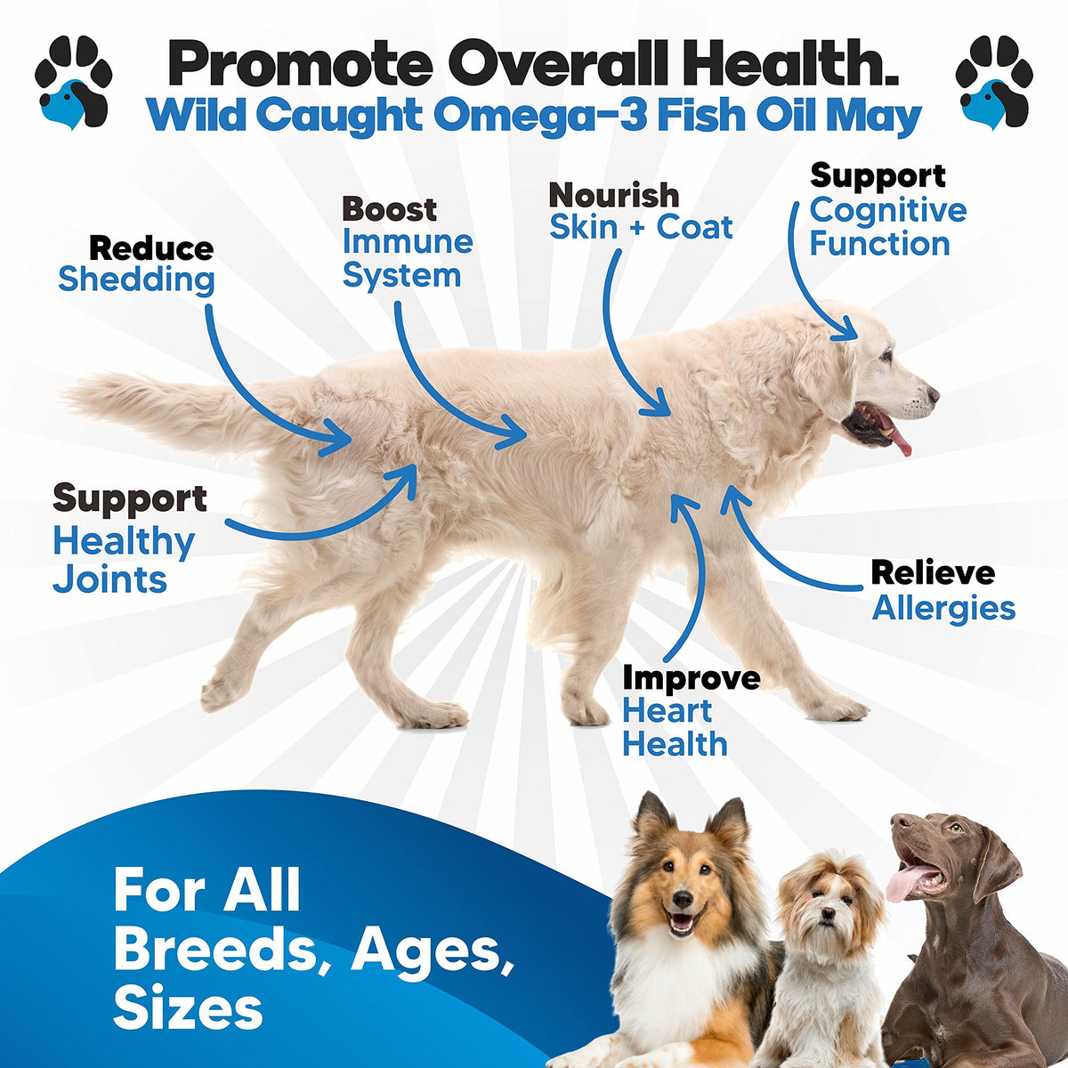 Omega 3 Fish Oil for Dogs – Liquid Dog Fish Oil Supplement – Supports Skin & Coat Health – Joint, Brain & Heart Support – for All Breeds & Ages 🍁 All In One Marketplace Canada