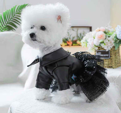 She’s a Rockstar Dog Dress | Dog Dress for Special Occasions