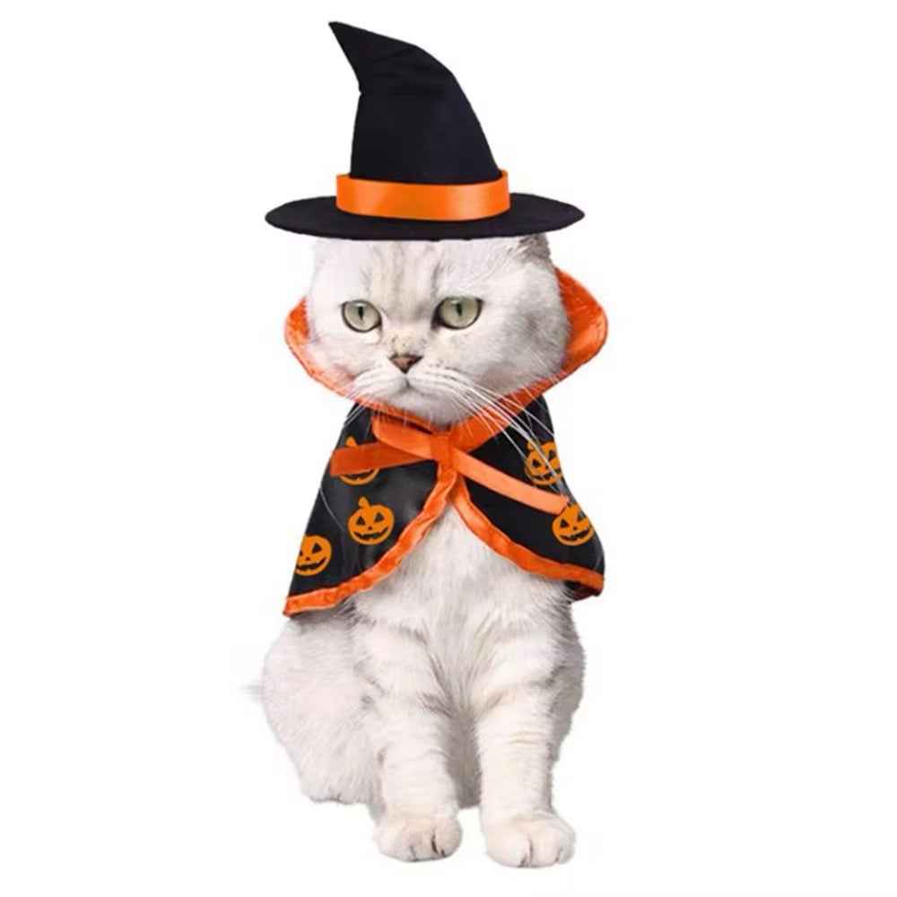 Pumpkin Witch Halloween Costume for Dogs – Fall Dog Outfit