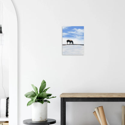 WAITING FOR SPRING Fine Art Print