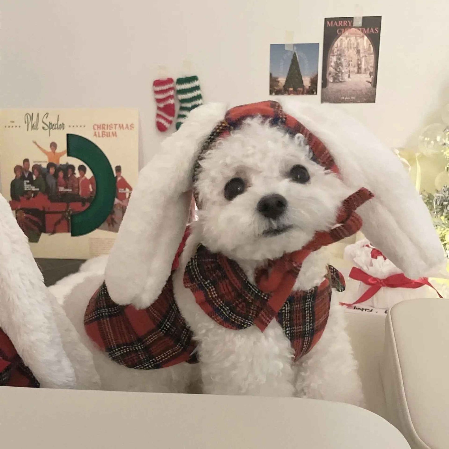 Winter Bunny Dress for Dogs – Red Plaid Dog Dress with Hat