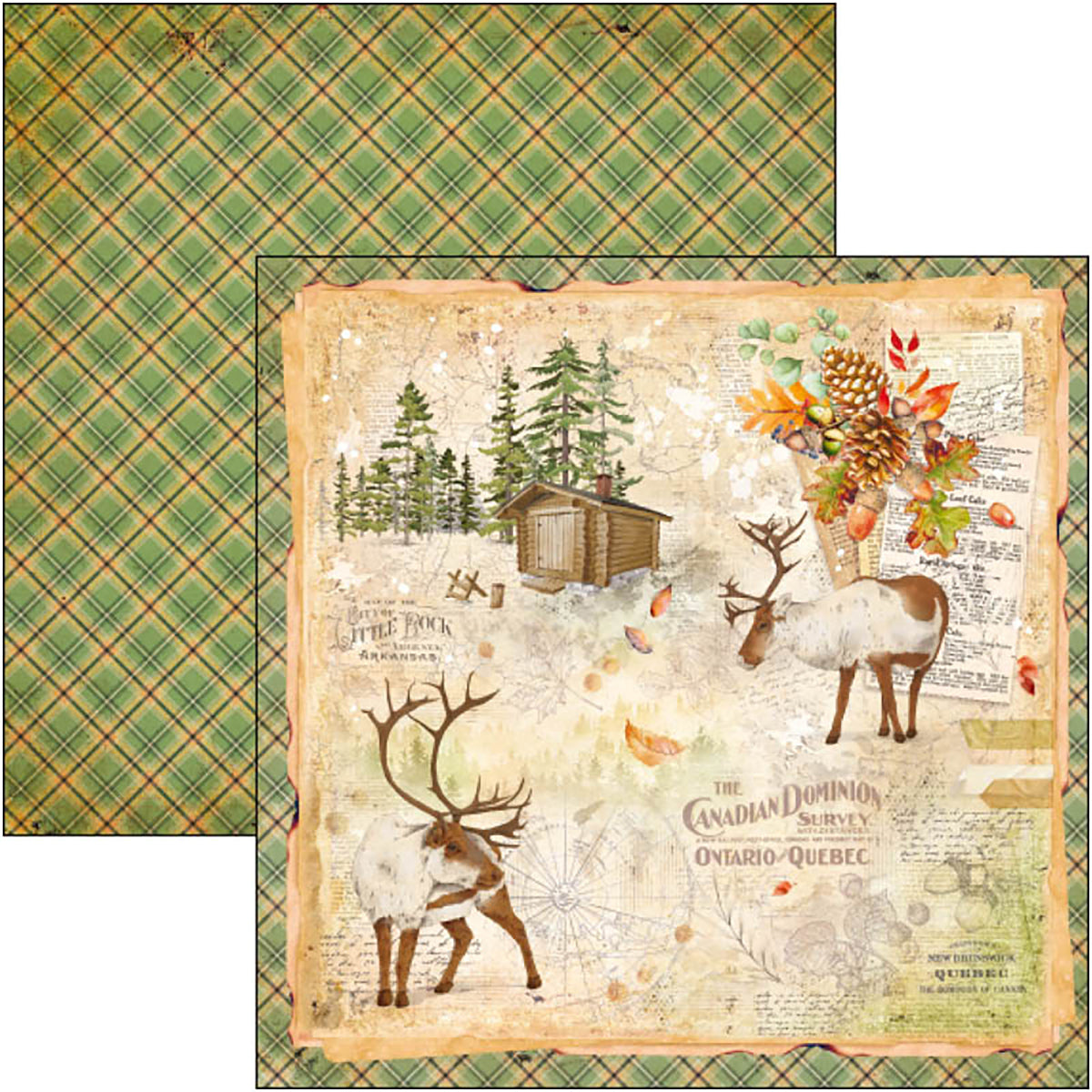 Ciao Bella Into The Wild Paper Pad 8"x8" 12/Pkg