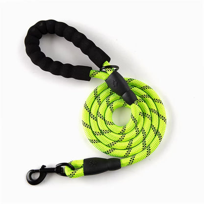 Reflective Dog Leash for Night Walks