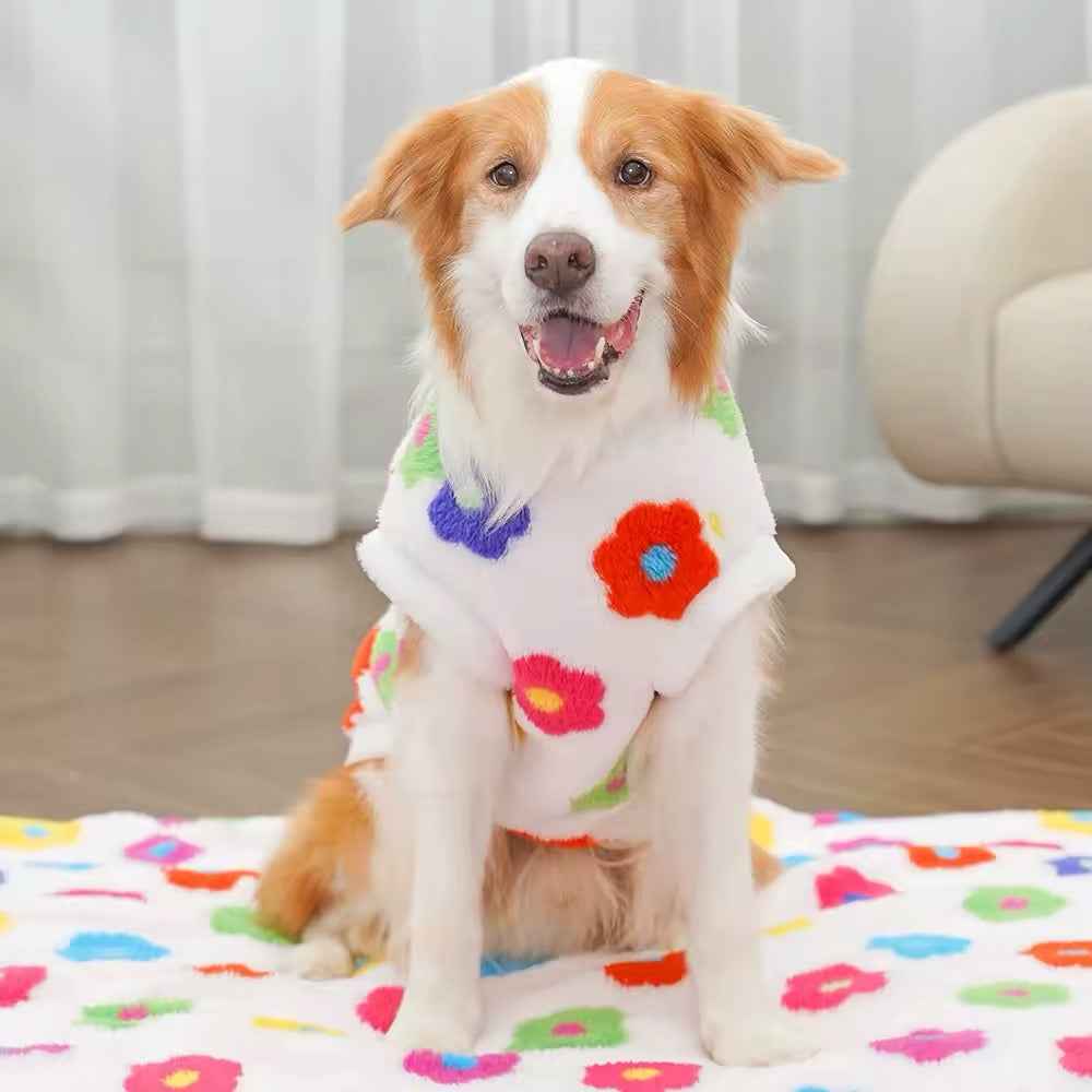 Spring Time Is Here Sweater – Dog Sweater