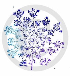 Frog's Whiskers Ink Stamp - Queen Anne's Lace
