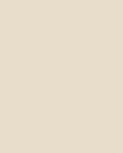 The Paint Factory - Fresh Cream