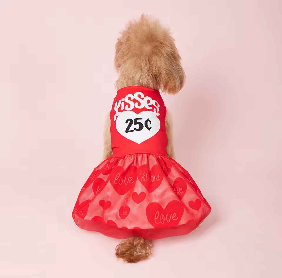 25¢ Kisses Valentine Dog Dress – Red Heart Puppy Outfit