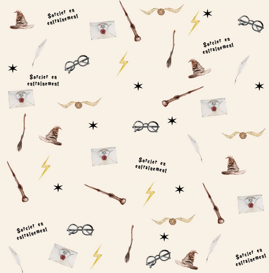 Couverture minky sorcier ⚡️ géante