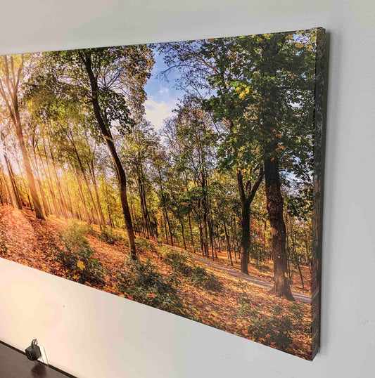 Canvas Print-Autumn Trees-Wall art