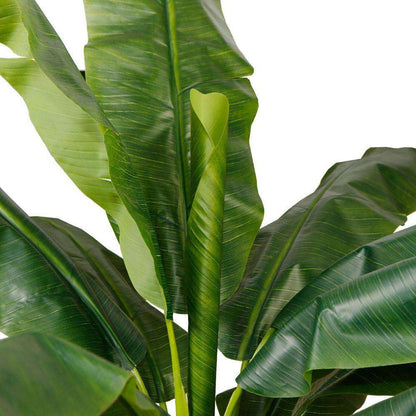 Leya Künstliche Bananenstaude Topfpflanze 305 cm